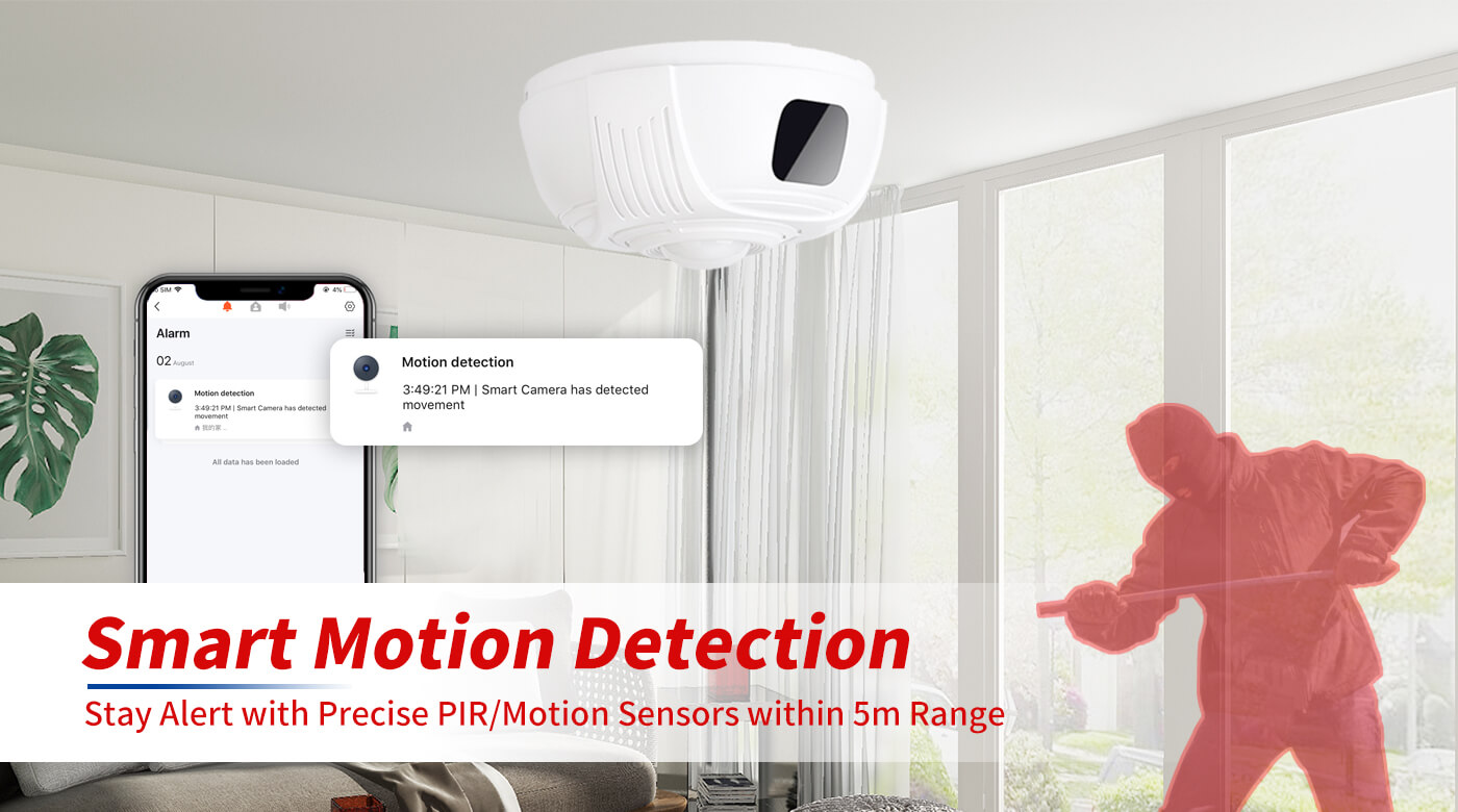 Tuya WiFi Security Camera Dummy Smoke Detector