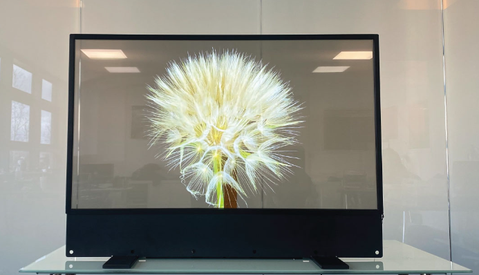 toled display