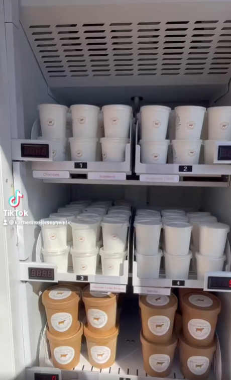 Micron ice cream cheese vending machine in UK