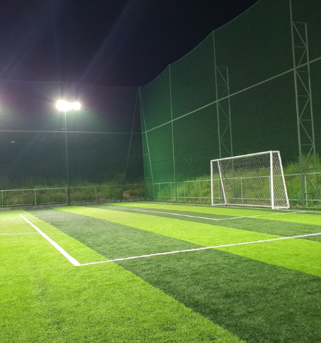 Case Study: Transforming Professional Training Grounds in Argentina