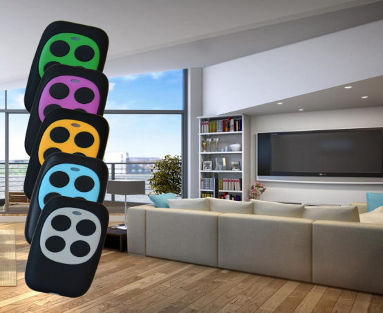 remote control factory