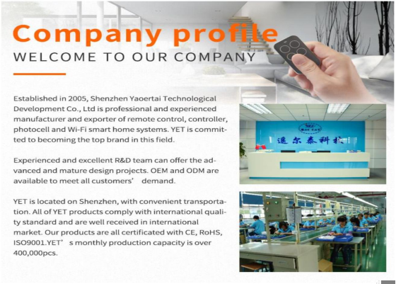remote control manufacturer