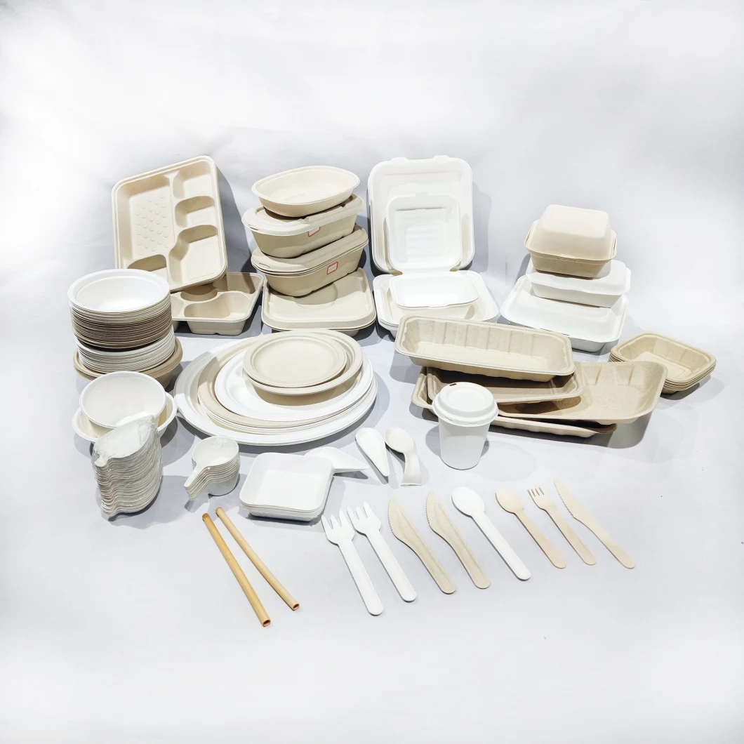 BagasseBagasse dinner plate