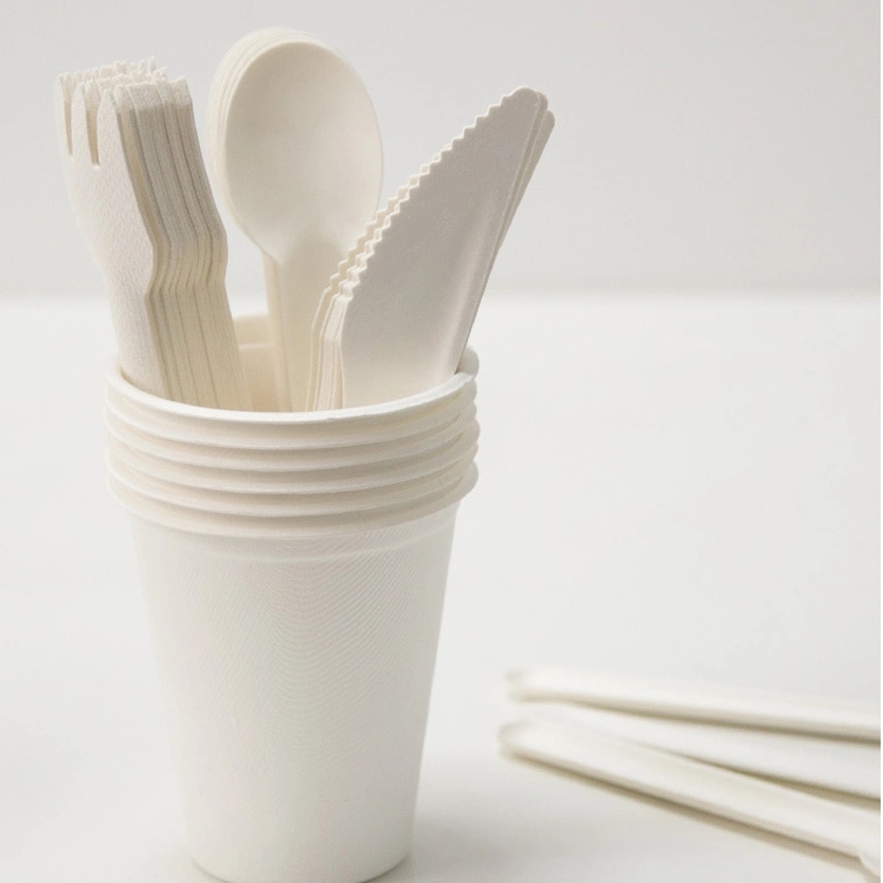 Sugar cane tableware