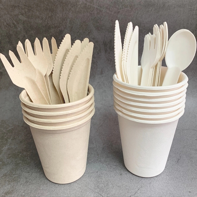 bagasse kinfe