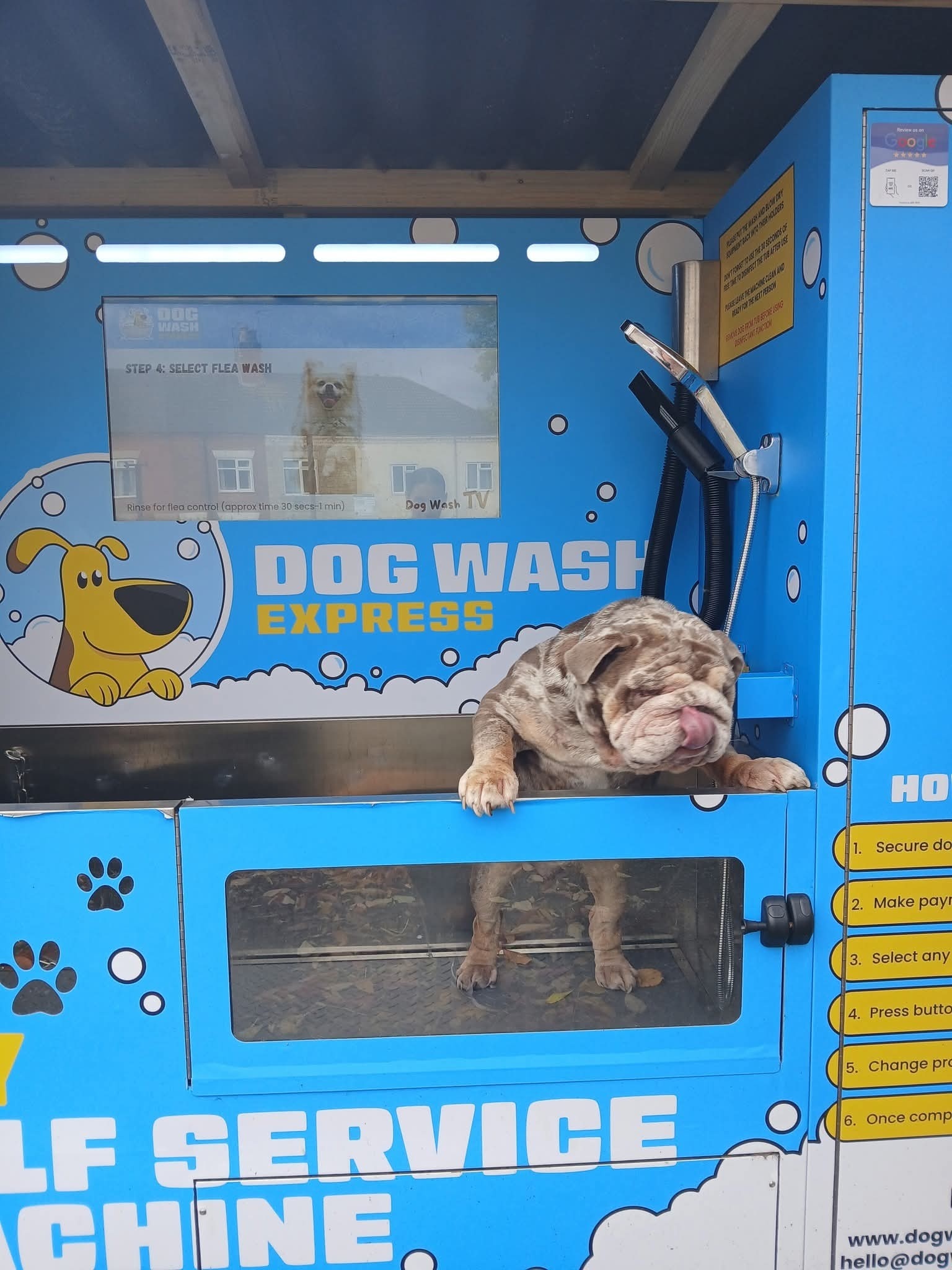 Start a Business Like Dog Wash Express