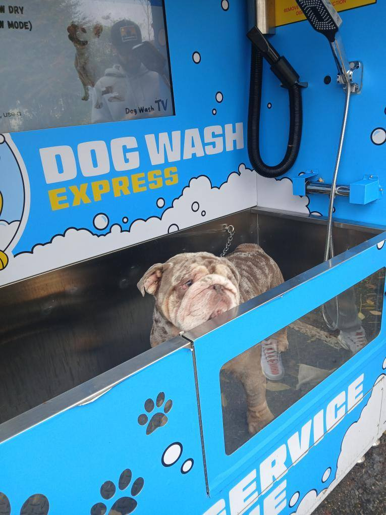 Is a self-service dog wash a good side hustle