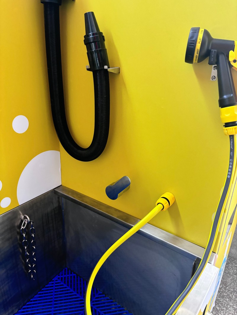 Learn how to launch a profitable self-service dog wash business with the right equipment, location strategy, pricing model, and operations plan.