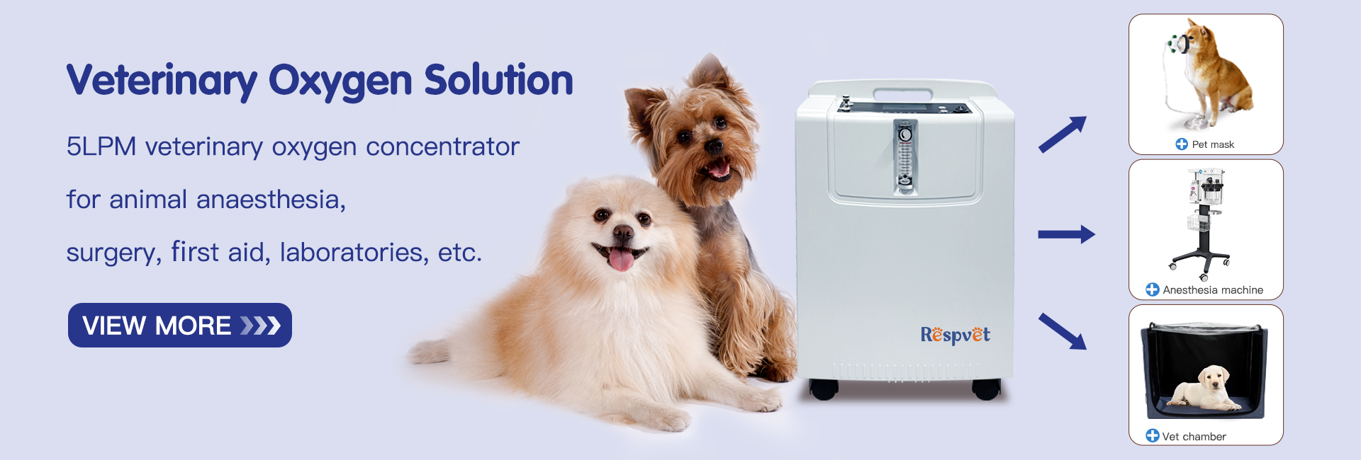 vet oxygen supply