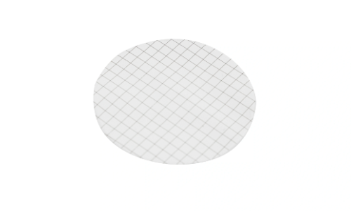 mce gridded membrane filter