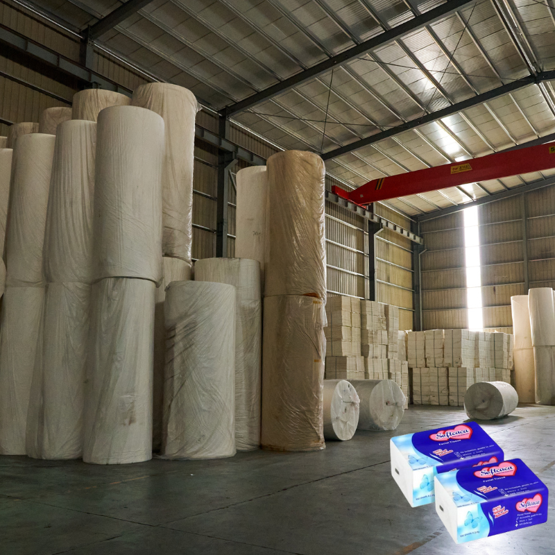 More About the Parent Tissue Jumbo Roll