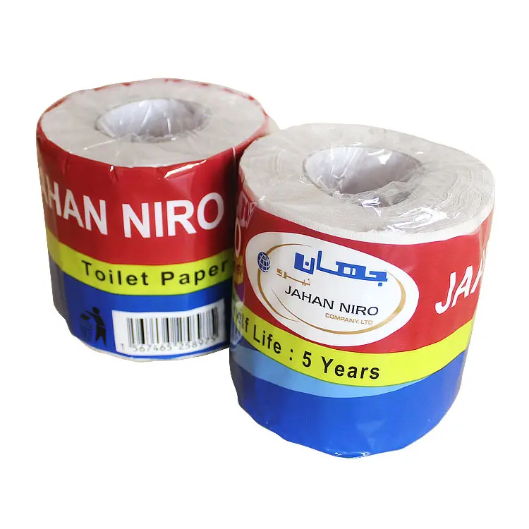 toilet paper_1