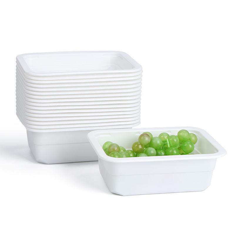 best bento boxes for adults