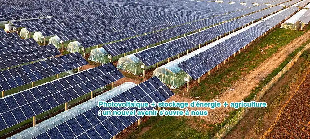 Photovoltaïque + stockage d’énergie + l’agriculture ouvre un nouvel avenir