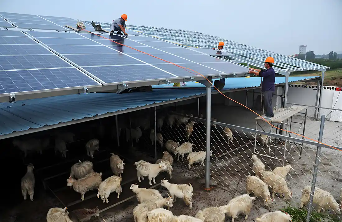 Caso de proyecto de agricultura y ganadería + sistema fotovoltaico