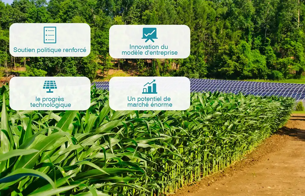 Perspectives d'avenir pour les systèmes agricoles + photovoltaïques