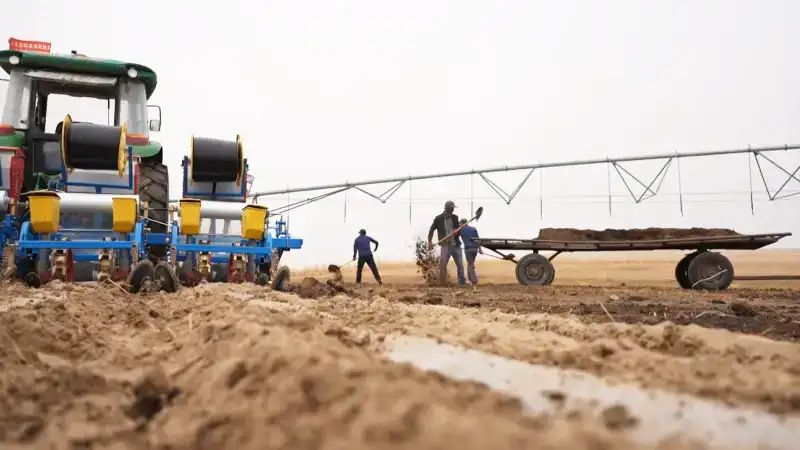 Ecologische restauratieconstructie