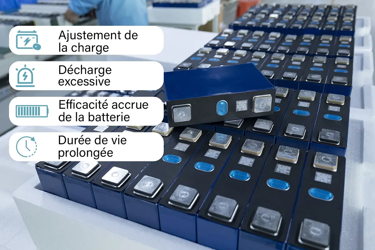 Système de gestion de la batterie