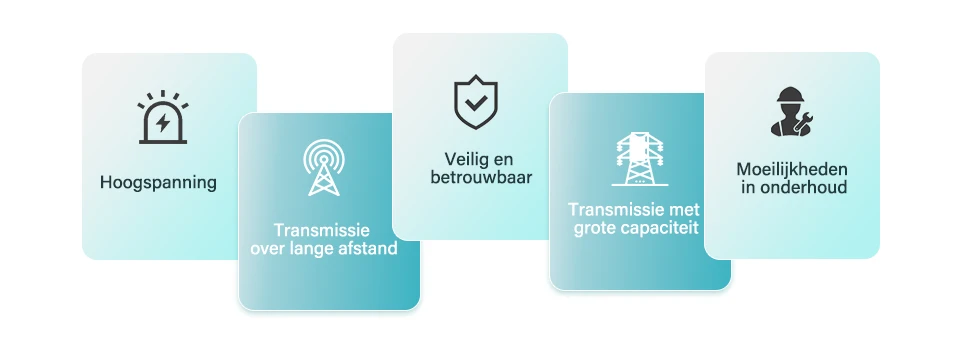 Voornaamste kenmerken van het hoofdnet
