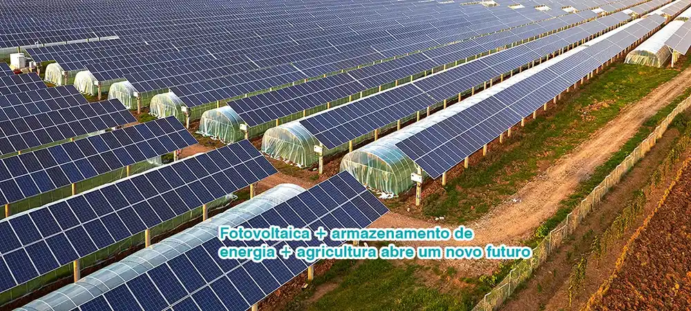 Fotovoltaica + armazenamento de energia + agricultura abrem um novo futuro