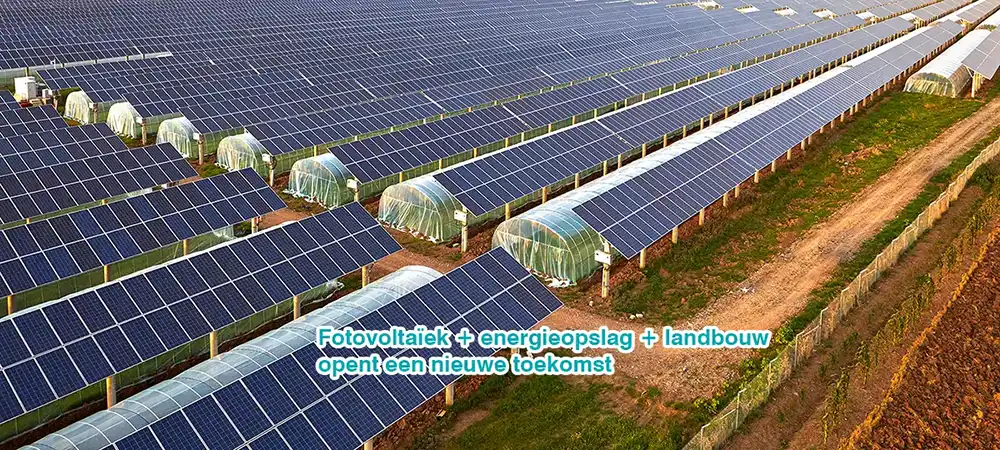 Fotovoltaische energie + energieopslag + landbouw opent een nieuwe toekomst