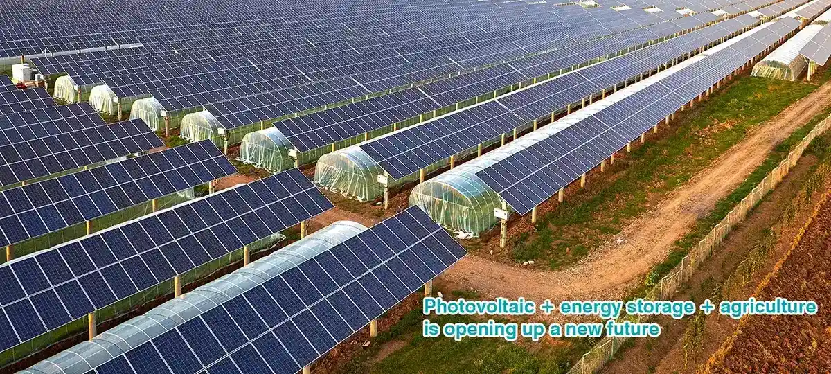 Photovoltaic + energy storage + agriculture is opening up a new future