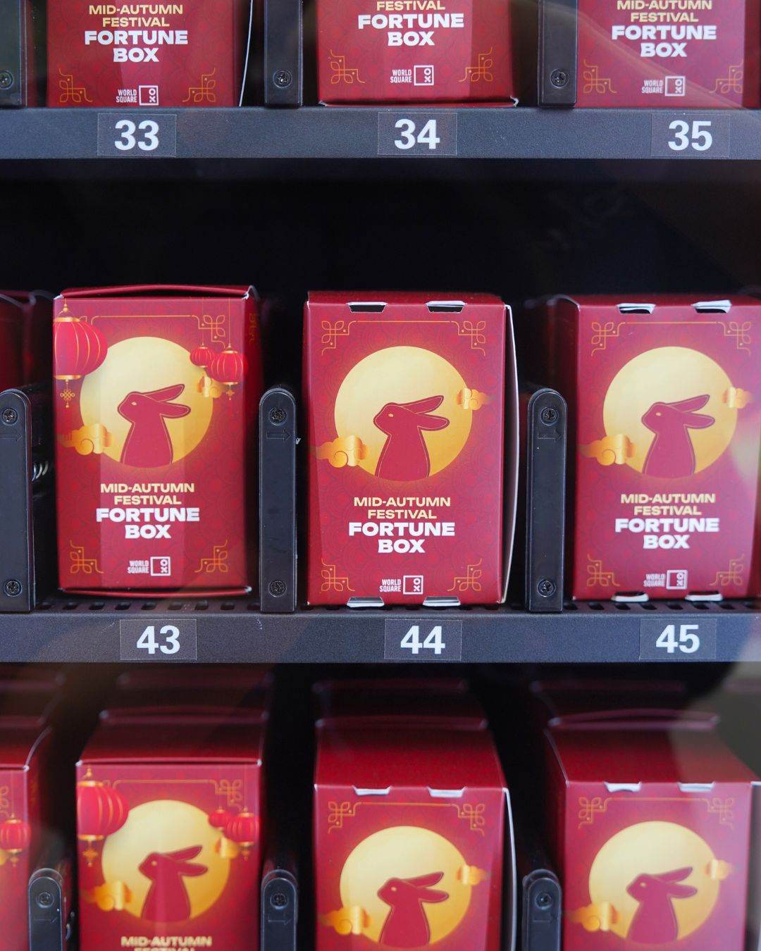 Blind Box Vending Machine Deployment in Sydney: Display, Elevator & Touch Screen