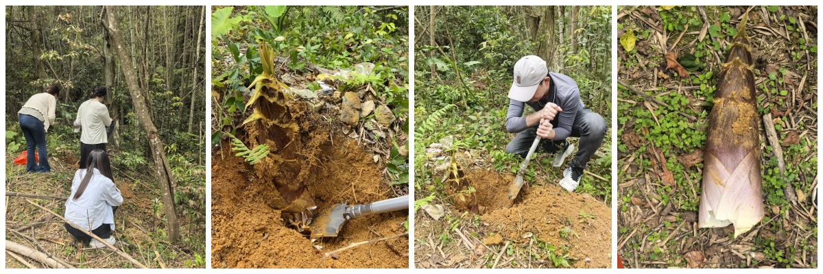 Ledcolourlight team bonding activities
