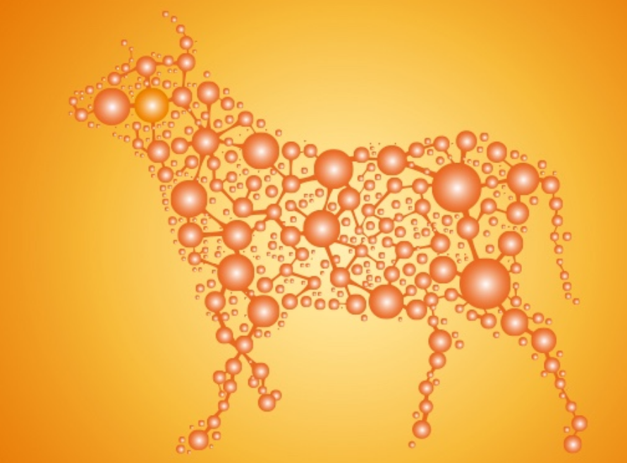 Nutritional ingredients and production process of bovine collagen peptide