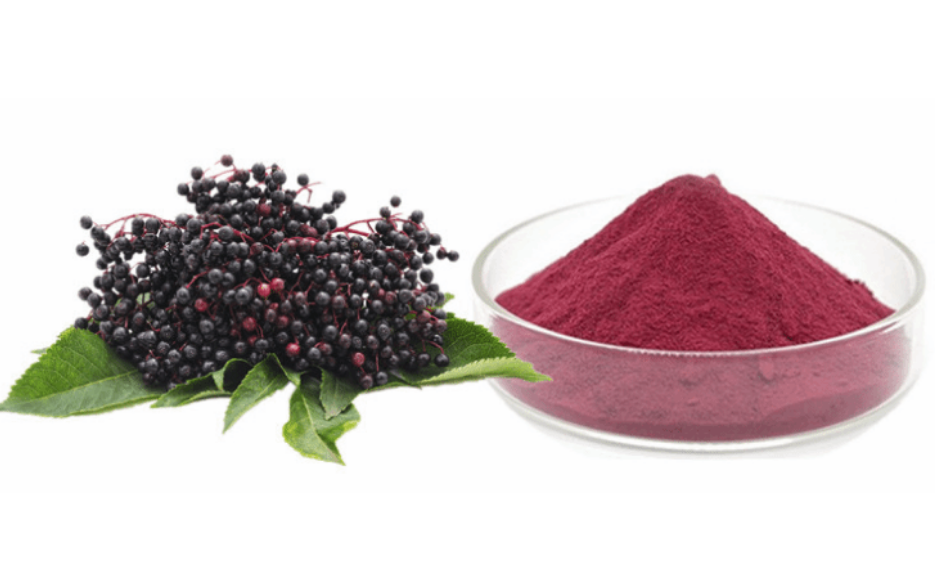 What is elderberry powder made of