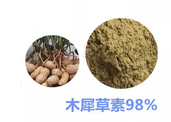 What foods contain luteolin