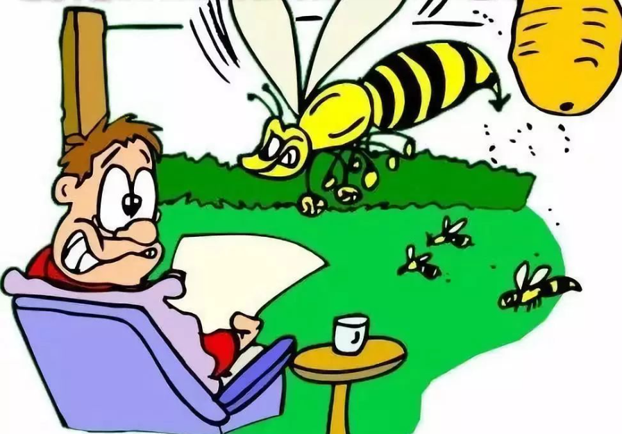 How long can bee venom stay in your system