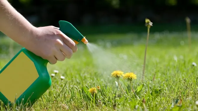 Ammonium Glyphosate
