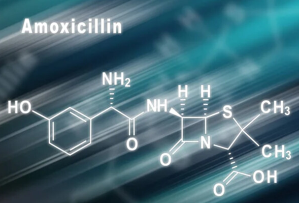 Amoxicillin
