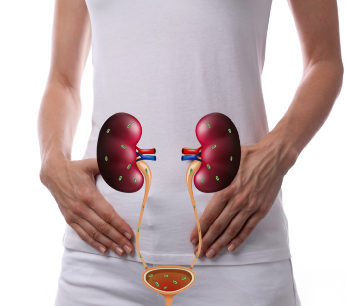 Does D-Mannose Make You Urinate More?