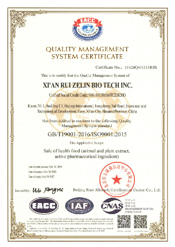 ISO9001