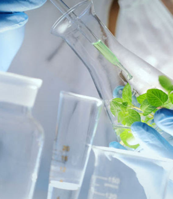 chitosan is useful in many aspects