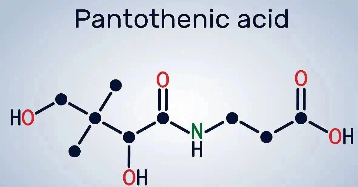 pantothenic acid