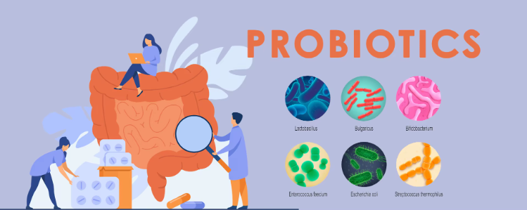 Function of lactobacillus rhamnosus