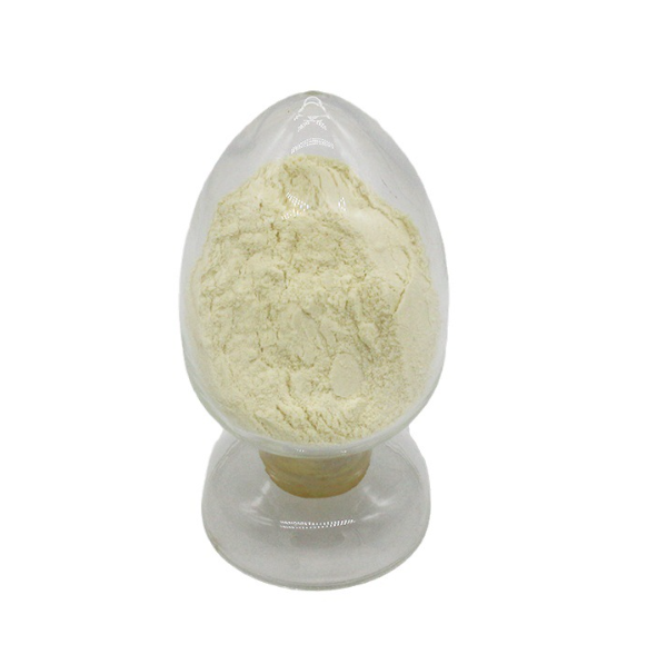 Lactobacillus Reuteri