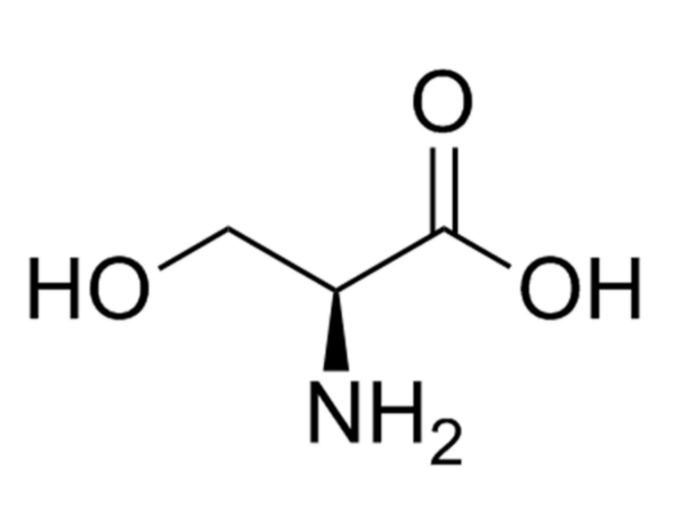 L-Serine