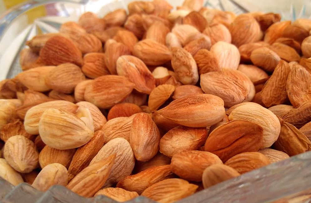 زيت نواة المشمش
