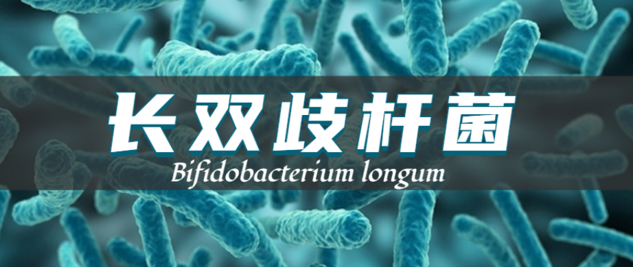Bifidobacterium longum