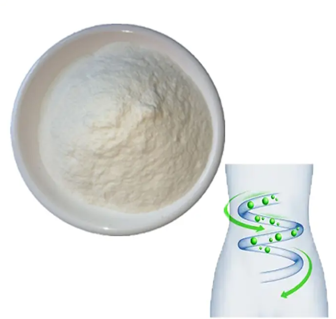 Lactobacillus Rhamnosus