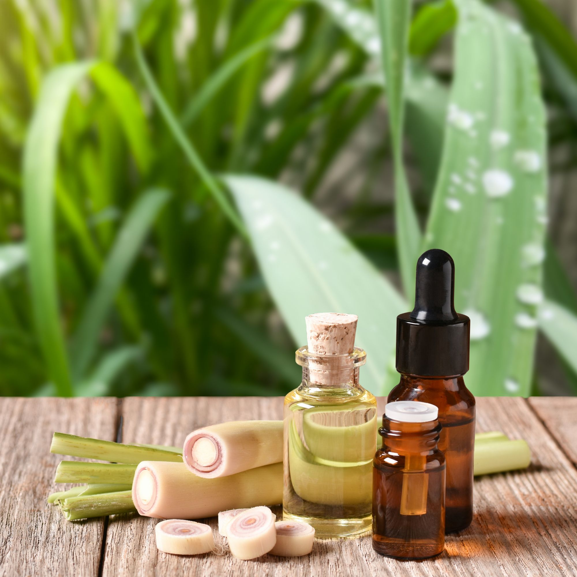 Top Uses of Lemongrass Essential Oil