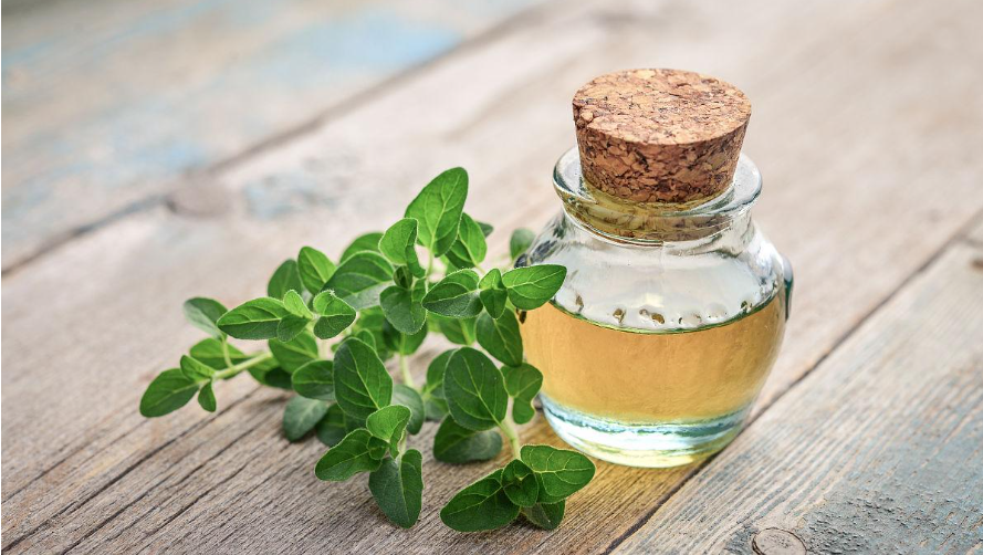 Oregano oil benefits