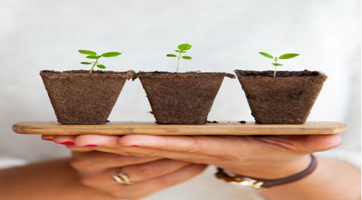 potassium humate benefits for plants
