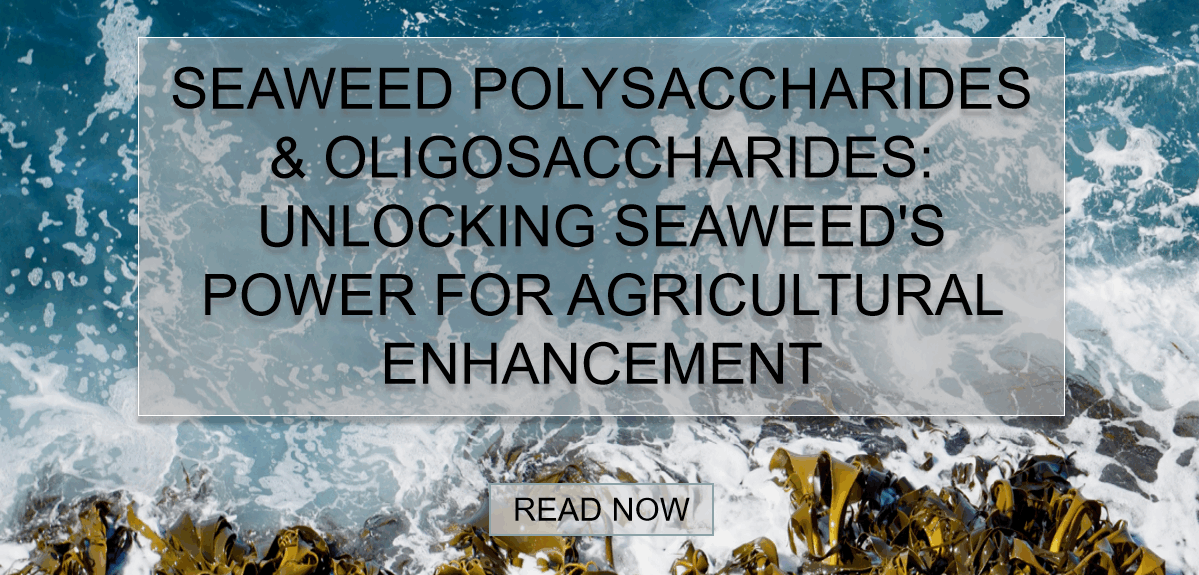 seaweed extract liquid fertilizer