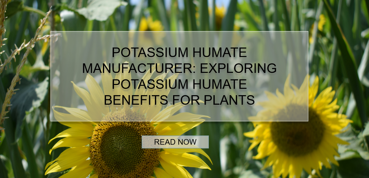 potassium humate manufacturer