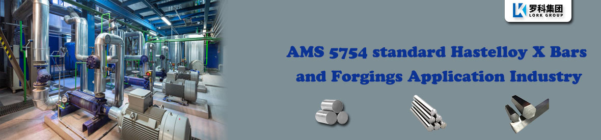 AMS 5754 standard Hastelloy X Bars and Forgings Application Industry